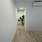 Oasis 29 * Las Palmas de Gran Canaria