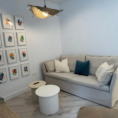 Oasis 29