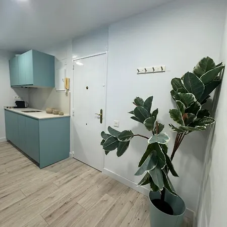 Апартаменты Oasis 29